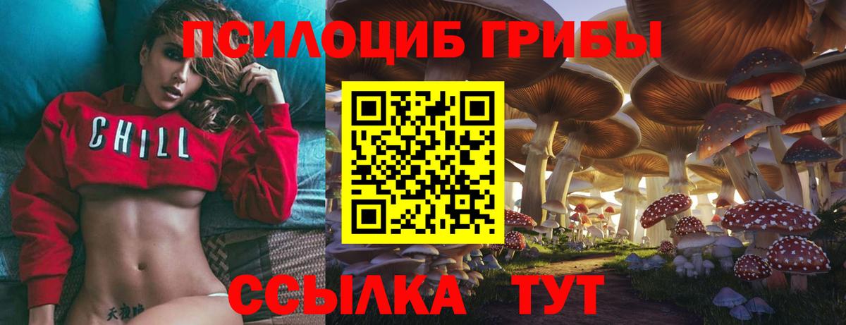 Псилоцибиновые грибы Cubensis  дарнет шоп  Каменка  Вход с VPN 